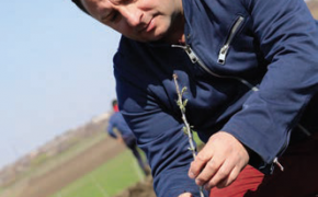 Cătina albă: o fermă din Republica Moldova investește într-un „superfruct” extraordinar – susținută de BEI și EU4Business
