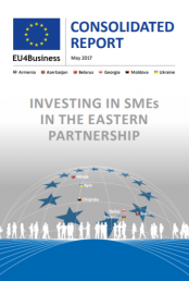 Raport consolidat EU4Business 2009-2016