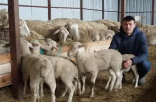 Livestock breeders in Moldova benefit from PARE 1+1