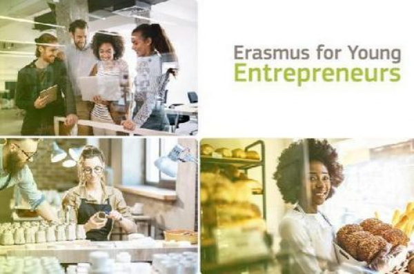 Erasmus For Young Entrepreneurs: Opportunities For Growth