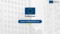 EU4Business Results in 2021