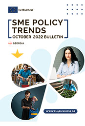 SME Policy Trends October 2022 Bulletin: Georgia