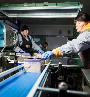 UE și BERD sprijină un producător moldovean de fructe în drumul său către piețele europene